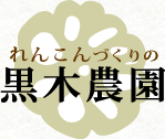 おいしいレンコン・たまねぎの黒木農園