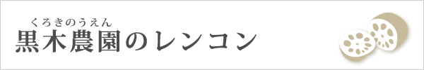 黒木農園のレンコン